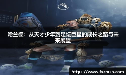 bellbet贝博艾弗森官方网站